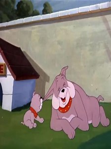 TOM AND JERRY _ THAT'S MY PUP | Daston Comics