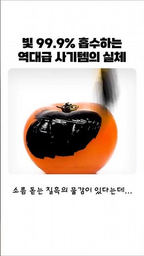 빛의 99%를 삼키는 물질의 정체 #과학 #착시