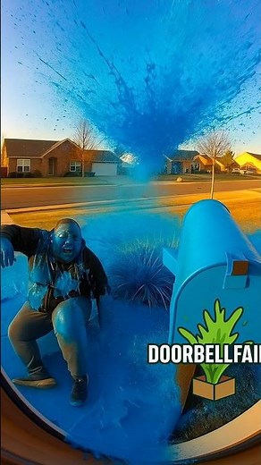 Mailbox Bat Attack Backfires in Massive Blue Paint Explosion