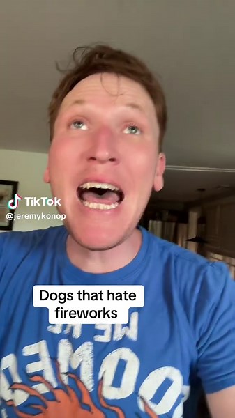 Dogs That Fear Fireworks: A Dog Dad's Tale