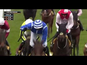 Poniros wins the Triumph Hurdle 2025 at 100/1 🐎👀\n\nThat race was absolutely...