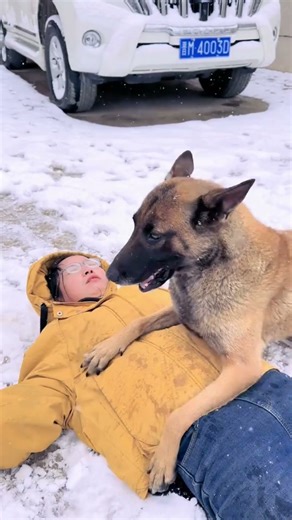 HERO DOG Performs CPR to Save Owner!