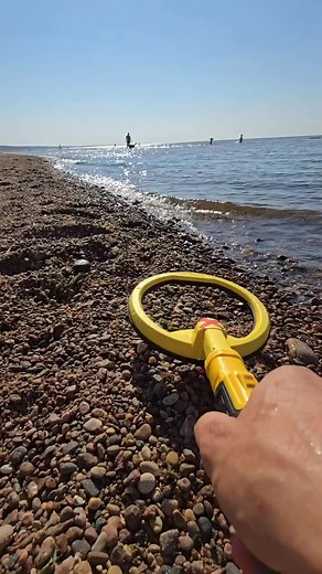 Another trap found on the beach #fyp #viral #trending #Amazing #reels | xfindings