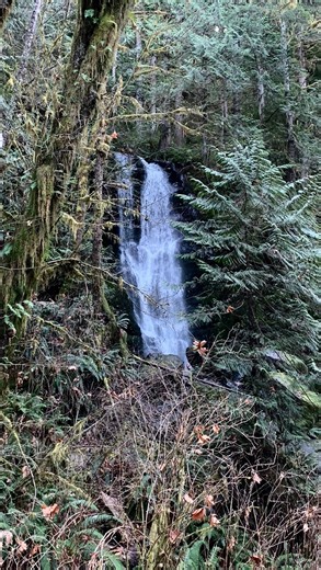 Carbonless | Building Science Education on Instagram: "Flash-and-Batt isn’t a shortcut. It’s a scalpel. What you’re watching here is ~2 inches of closed-cell spray foam applied first — on purpose — followed by a batt / blown-in fiberglass blanket. That first pass of foam does three critical things fast: • It locks down air leaks • It controls vapor where it actually matters • It stabilizes moisture before the cavity is filled Think of it like this: 👉 The foam is the gasket 👉 The batt is the ja