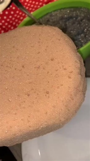 8.5K views · 30 reactions | Sprouting chia seeds #sundaymornings #plant #fyp #diyplants #fy #greenday #calm #chia #chiaplant | Seed to Flower | Facebook