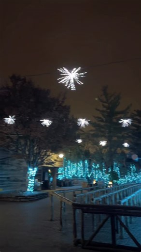 Cincinnati Zoo on Instagram: "All aboard the North Polar Express! Ride the Zoo’s electric train on your next visit to PNC Festival of Lights! huntingtonbank"