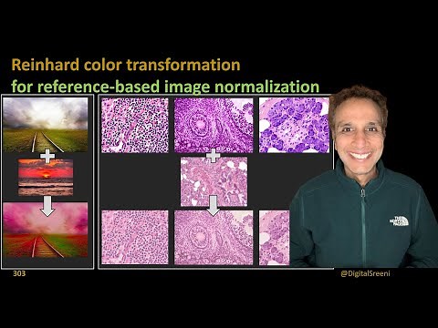 303 - Reinhard color transformation​