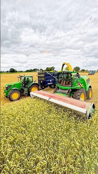 Whole crop rye with the John Deere 9900i forage harvester