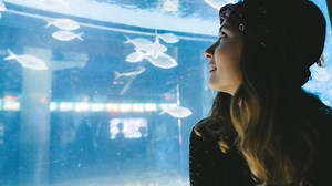 Book tickets for Barcelona Aquarium