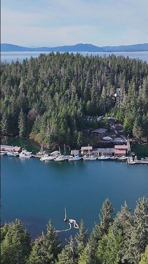 Port Protection: SAM TIME-Get to know Sam in a whole new way. #portprotection #alaska