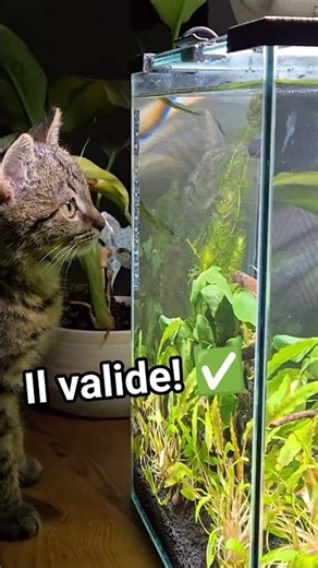 De POUBELLE à AQUARIUM incroyable 😱