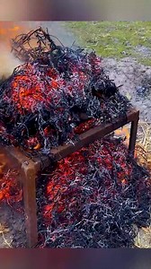 Beautifully Cooked Traditional Recipe From the Village 🏡🔥🍛 #VillageLifestyle #AuthenticCooking #NatureFood | Outdoor Chef