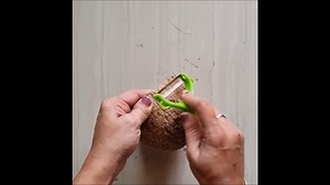 40K views · 602 reactions | Waste Coconut Shell and Earbuds Craft Idea | How to Make Flower VaseCOCONUT SHELL CRAFT IDEAS/ | A2C Arts And Crafts | Facebook