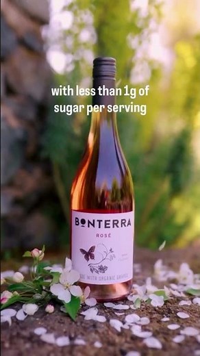 Bonterra Wines – Sustainable, Organic, and Award-Winning | Super 9 Wine & Spirits