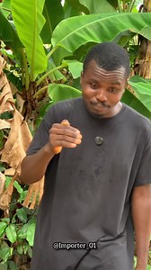 This video is very funny and trending humour 🤣 😄 😆 #com#comedia #comediahumor | Importer 01