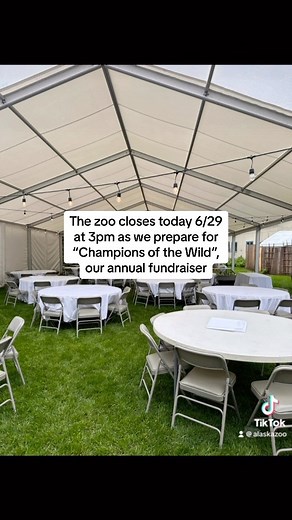 The Alaska Zoo closes early at 3pm today June 29th for Champions of the Wild, our annual fundraiser. Thank you to all who purchased tickets for this private event. We will re-open the zoo gates at 9am tomorrow! Thank you for your support. If you would like to donate to our mission of orphaned and injured wildlife care, visit https://alaskazoo.betterworld.org/campaigns/fund-need-animals | The Alaska Zoo