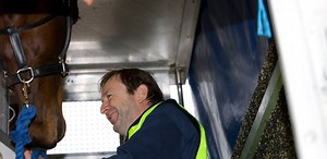 Transporting horses with care around the world