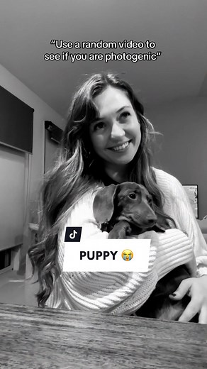 Baby Snickers really showing me how its done 🥹♥️ #PUPPY first time meeting my new fur-niece #miniaturedashchundpuppy #minidaschund #photogenicchallenge #capcut #miniaturedaschundsoftiktok #VideoAleatorio