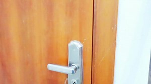 Funny Red Panda Memes and Cute Animal Moments | CartoonHD