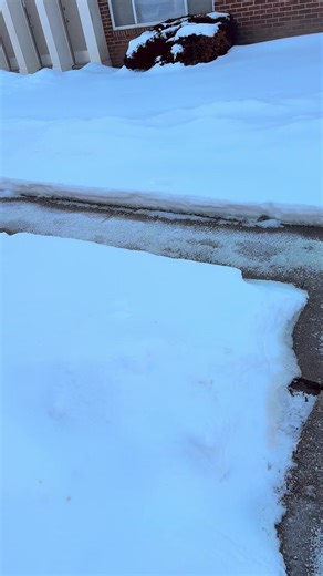 Letty06 (@la_letty3)’s videos with 2 Little 2 Late - Levi & Mario