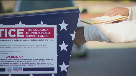 How to check your voter registration status during Georgia's statewide audit