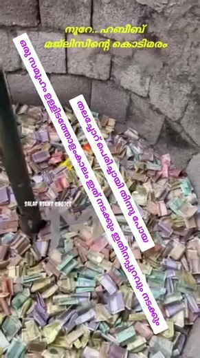 spaice (@spaice_5572)’s videos with original sound - spaice