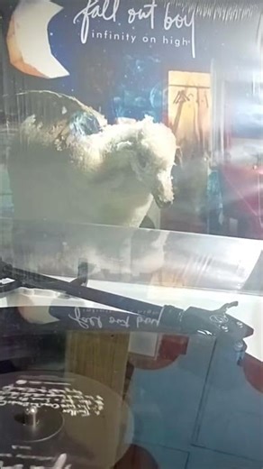 Fall Out Boy - Thriller (Official Vinyl Version) | Infinity on High