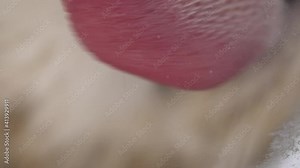 The cat licks sour cream from the glass on a bright white background. Cat's tongue close-up bottom view. Slow motion 100 fps.