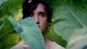 ‘Happy as Lazzaro’ Trailer