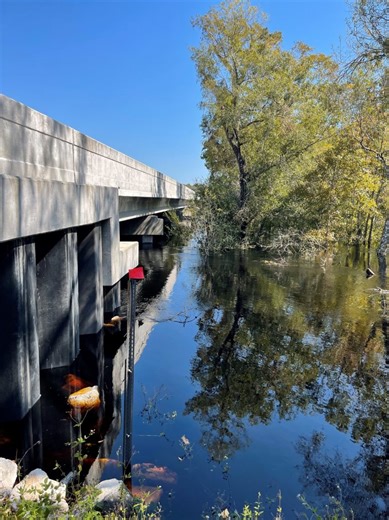 Citrus County sees rising water levels and flooding