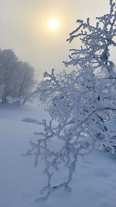 Winter wonderland 🇳🇴❄️ | Spectacular Norway