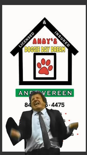 Do you need help with: Puppy training Obedience Training Dog Aggression Behavior Modification Loose Leash walking Boarding Board and training options also Fear I can help you No E-collars No Prong collars Can't get your dog around dogs Call me Can't get your dog around people Call me 14 years of experience Tons of references from Oak Island to Charleston Personalized training 1 on 1 to help you And your fur friend live together as a team Call or text anytime 843 455 4475 #andysdoggiedaydream #do