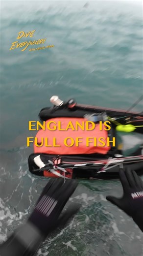 Jump right in to the fish! | Daniel Mann - Dive Everywhere