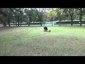 2014/10/15公園散歩(高師緑地公園)