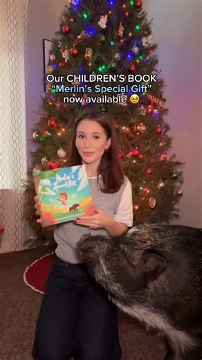 Merlin on Instagram: "Merlin may be the first pig author/cowriter…? Get Merlin’s Special Gift for yourself or a loved one this holiday season while they’re still available. WE LOVE YOU SO MUCH and Happy Holidays! 🤎🐽🎁"