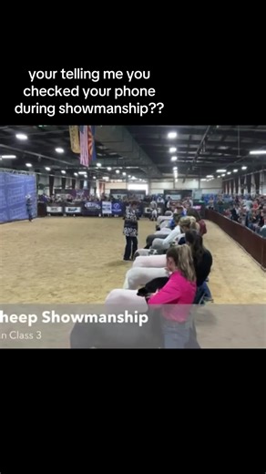 this you @Livestock Pros ?? #arizonanationallivestockshow #louisvillekentucky #sheep #fypシ゚viral #fym