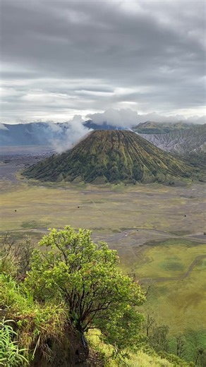 Bromo Private Trip Experience on January 10, 2026