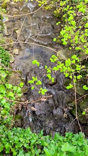 7s Strong Clear Creek Flow | Powerful Water & Nature 4K