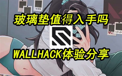 玻璃垫值得入手吗？WALLHACK体验分享