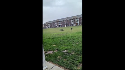 Heavy hail and 50 mph wind gusts batter Jackson, Michigan, USA