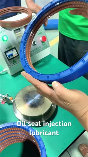 Oil seal injection lubricant