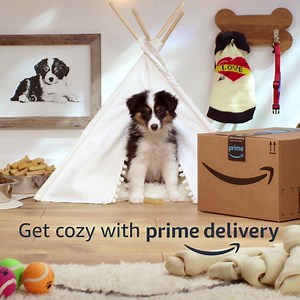 515K views · 1.5K reactions | Did you know you could get fast, FREE delivery on over a million items with Prime? Less time out shopping means more time to chill at home. | Amazon Prime | Facebook
