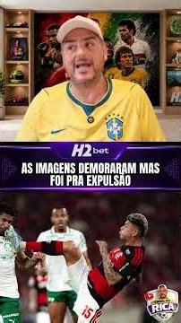 The controversial play that isn't actually controversial. #ricaperrone #soccer #palmeiras #flamengo