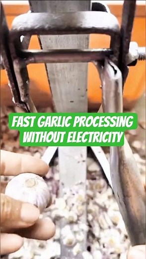 Smart Garlic Root Cutter: Fast, Safe, No Knife Needed - So Satisfying It Feels Robotic