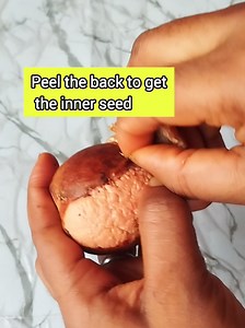 Avocado Seed Drink for Blood Pressure & Cholesterol