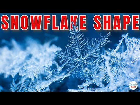 How Do Snowflakes 'Get' Their SHAPE?