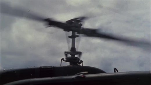 I don’t know what to think about the water mark But Huey😻#edit #viral #xybca #huey #vietnam