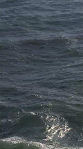 met de Stena Line naderen van Hoek van Holland