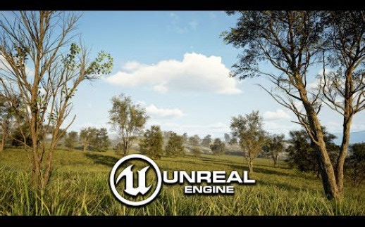 UE5入门教程-制作一个森林场景