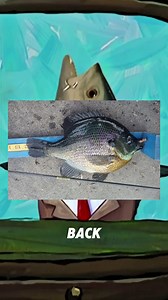 The votes are in and we're down to our Final 4 😤 Decide who will swim upstream to the championship and who will be swept away by the tide at Michigan.gov/bigfishweek | Governor Gretchen Whitmer